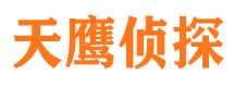 永福市侦探公司